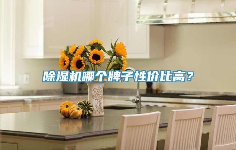 除濕機哪個牌子性價比高？