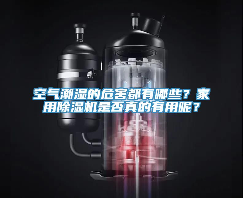 空氣潮濕的危害都有哪些？家用除濕機(jī)是否真的有用呢？