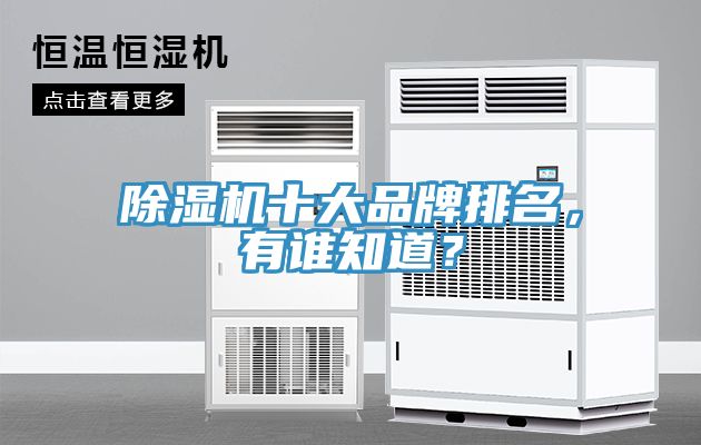 除濕機(jī)十大品牌排名，有誰知道？