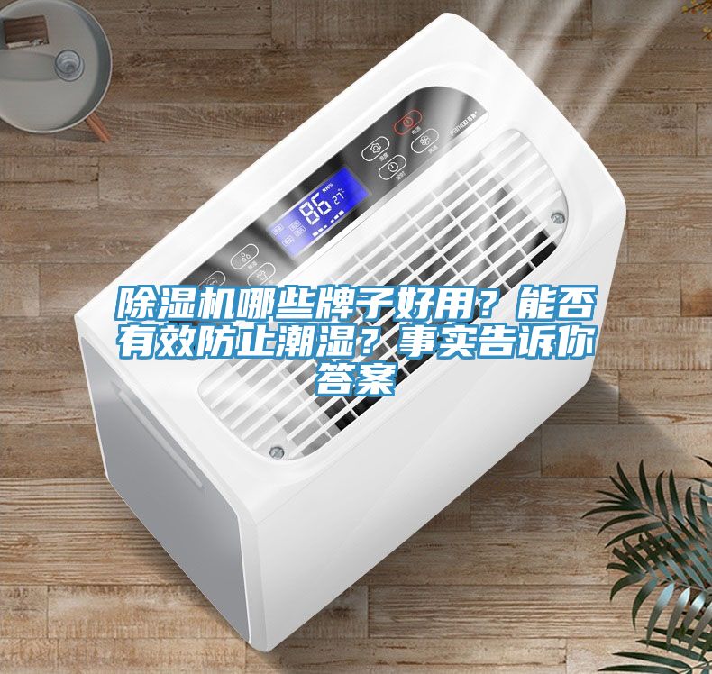 除濕機(jī)哪些牌子好用？能否有效防止潮濕？事實(shí)告訴你答案