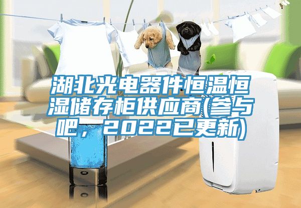湖北光電器件恒溫恒濕儲(chǔ)存柜供應(yīng)商(參與吧，2022已更新)