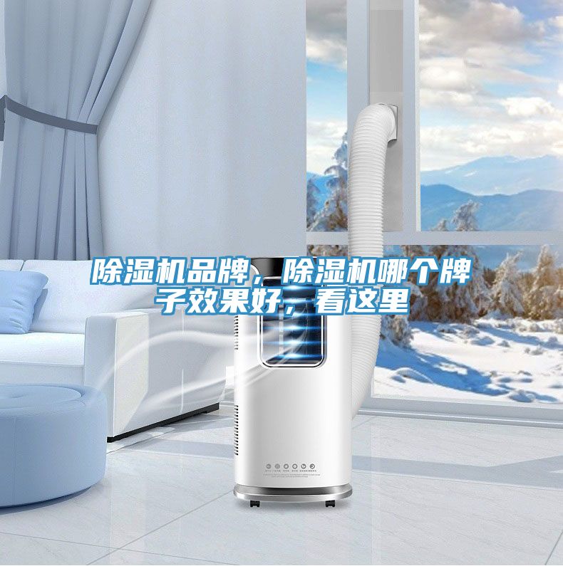 除濕機(jī)品牌，除濕機(jī)哪個(gè)牌子效果好，看這里