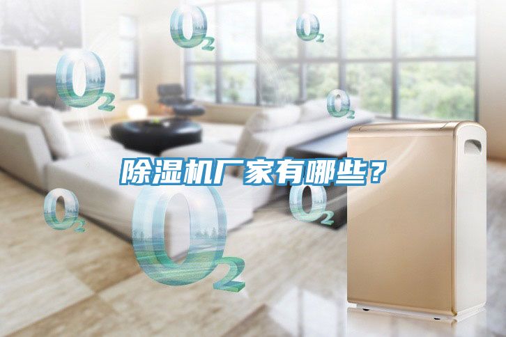 除濕機(jī)廠家有哪些？