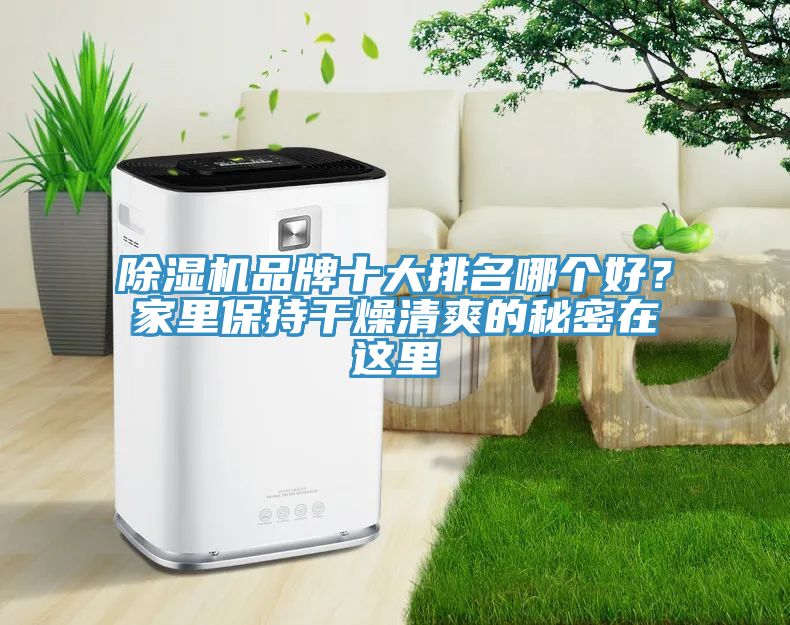 除濕機(jī)品牌十大排名哪個(gè)好？家里保持干燥清爽的秘密在這里