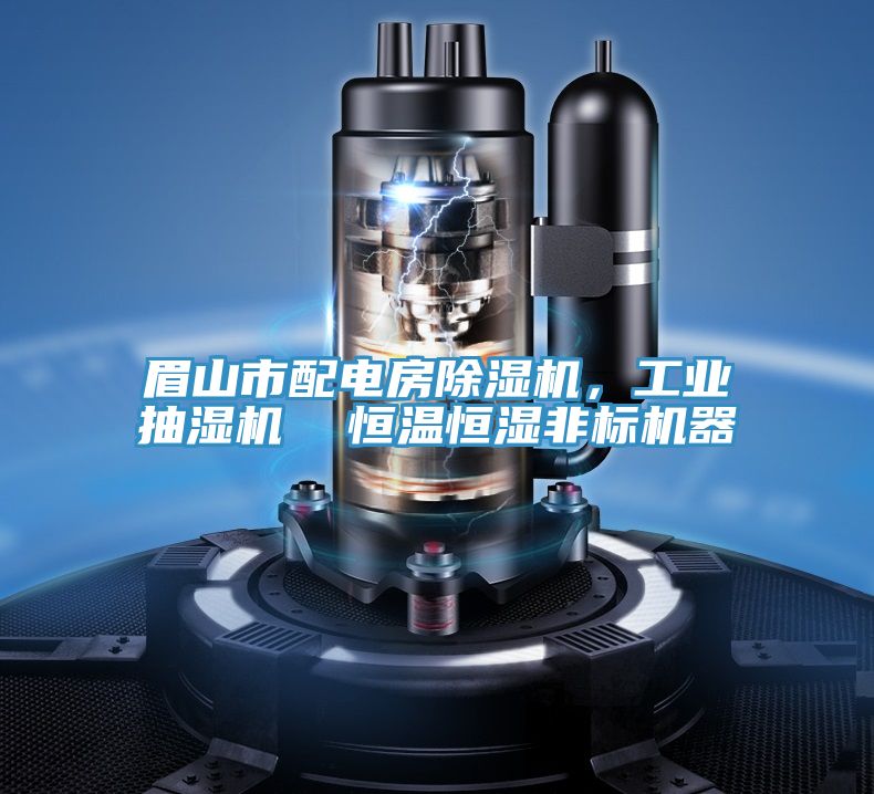 眉山市配電房除濕機(jī)，工業(yè)抽濕機(jī)  恒溫恒濕非標(biāo)機(jī)器