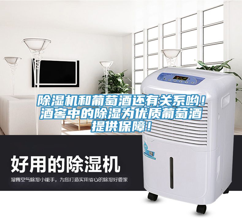除濕機和葡萄酒還有關(guān)系喲！酒窖中的除濕為優(yōu)質(zhì)葡萄酒提供保障！