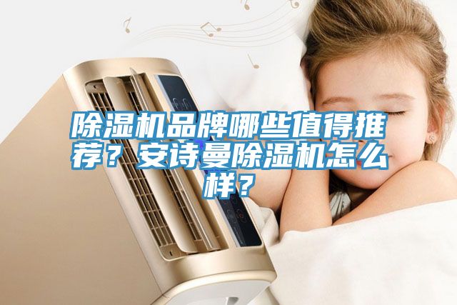 除濕機品牌哪些值得推薦？安詩曼除濕機怎么樣？