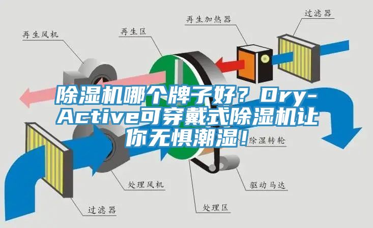 除濕機哪個牌子好？Dry-Active可穿戴式除濕機讓你無懼潮濕！
