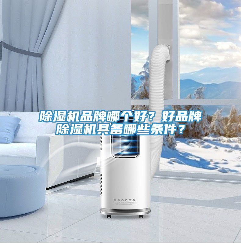 除濕機品牌哪個好？好品牌除濕機具備哪些條件？