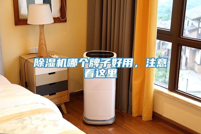 除濕機哪個牌子好用，注意看這里