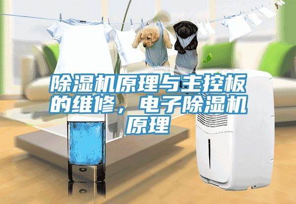 除濕機原理與主控板的維修，電子除濕機原理