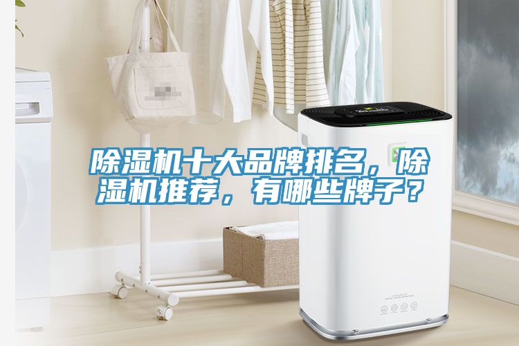 除濕機(jī)十大品牌排名，除濕機(jī)推薦，有哪些牌子？