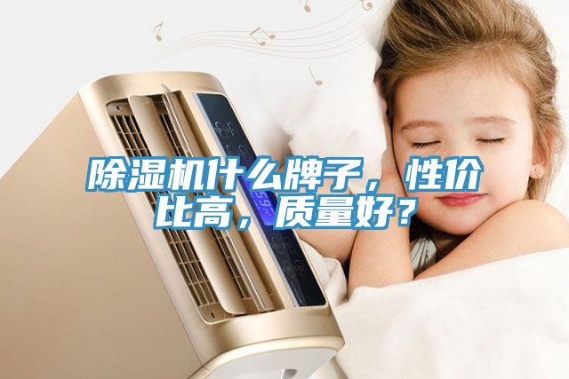 除濕機什么牌子，性價比高，質(zhì)量好？