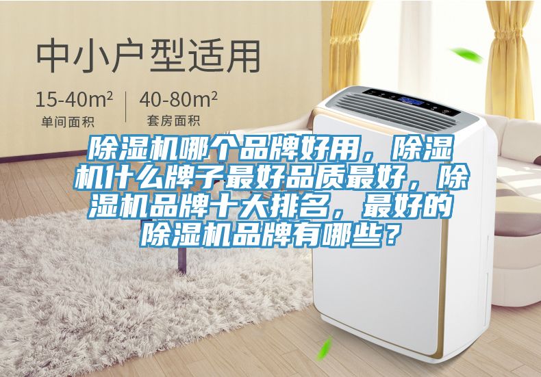 除濕機(jī)哪個(gè)品牌好用，除濕機(jī)什么牌子最好品質(zhì)最好，除濕機(jī)品牌十大排名，最好的除濕機(jī)品牌有哪些？