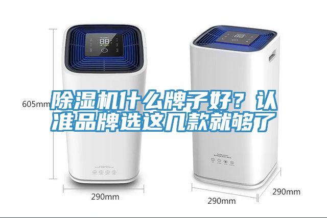 除濕機什么牌子好？認準品牌選這幾款就夠了