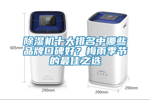 除濕機(jī)十大排名中哪些品牌口碑好？梅雨季節(jié)的最佳之選