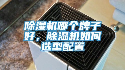除濕機哪個牌子好，除濕機如何選型配置