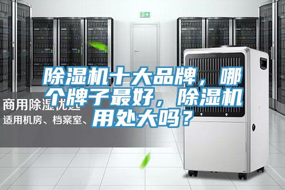 除濕機(jī)十大品牌，哪個(gè)牌子最好，除濕機(jī)用處大嗎？