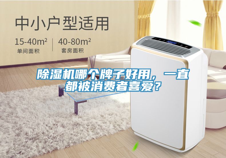 除濕機哪個牌子好用，一直都被消費者喜愛？