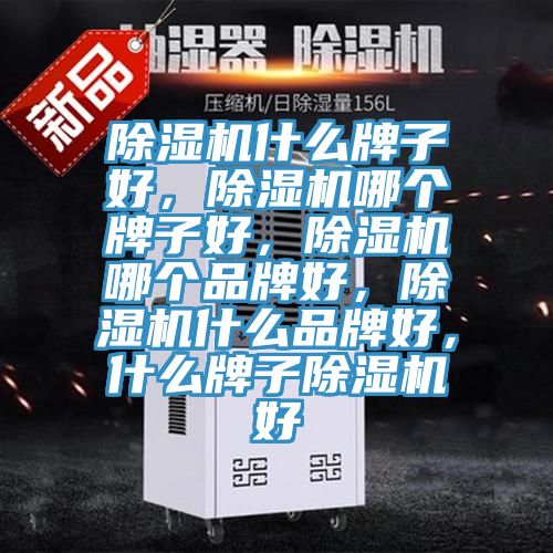 除濕機(jī)什么牌子好，除濕機(jī)哪個(gè)牌子好，除濕機(jī)哪個(gè)品牌好，除濕機(jī)什么品牌好，什么牌子除濕機(jī)好
