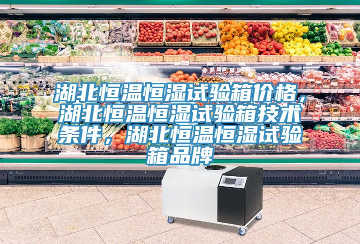 湖北恒溫恒濕試驗箱價格，湖北恒溫恒濕試驗箱技術(shù)條件，湖北恒溫恒濕試驗箱品牌