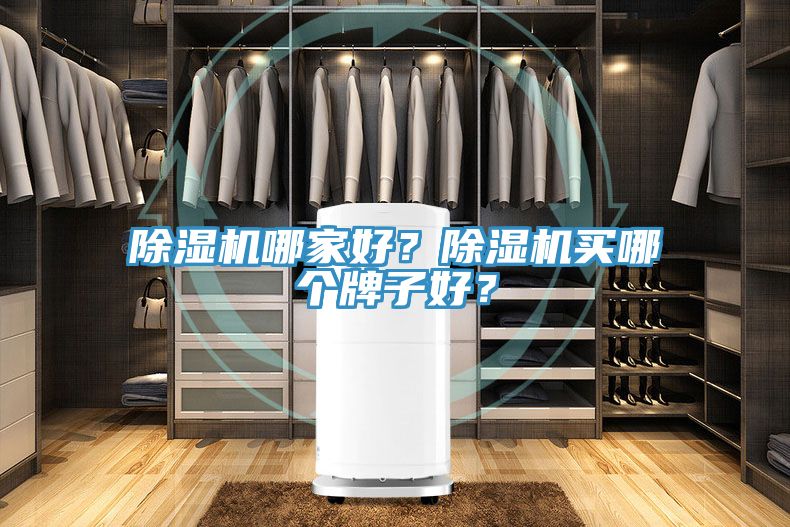 除濕機哪家好？除濕機買哪個牌子好？
