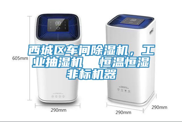 西城區(qū)車間除濕機(jī)，工業(yè)抽濕機(jī)  恒溫恒濕非標(biāo)機(jī)器