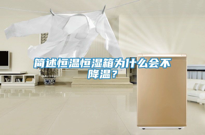 簡(jiǎn)述恒溫恒濕箱為什么會(huì)不降溫？
