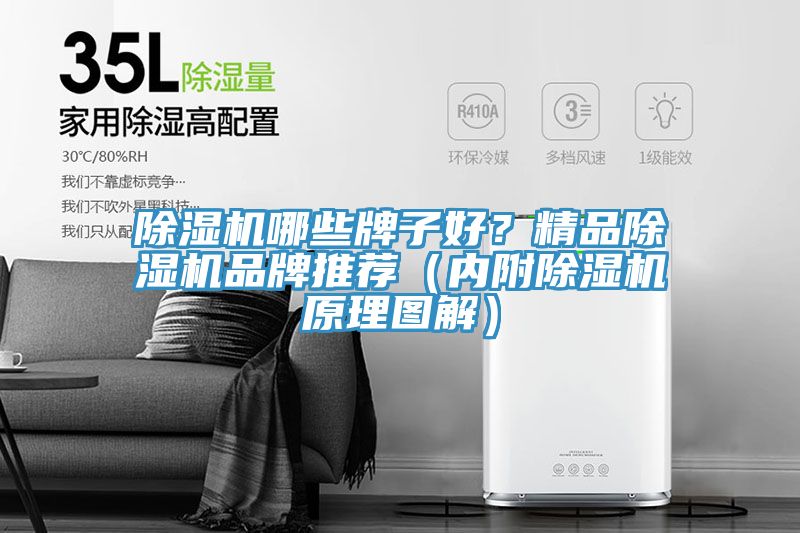 除濕機(jī)哪些牌子好？精品除濕機(jī)品牌推薦（內(nèi)附除濕機(jī)原理圖解）