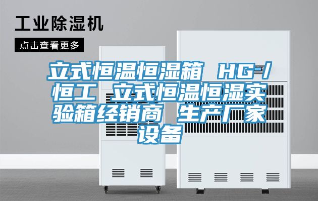 立式恒溫恒濕箱 HG／恒工 立式恒溫恒濕實驗箱經(jīng)銷商 生產廠家設備