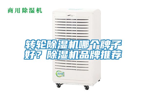 轉輪除濕機哪個牌子好？除濕機品牌推薦