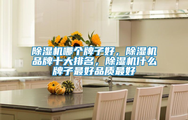 除濕機哪個牌子好，除濕機品牌十大排名，除濕機什么牌子最好品質(zhì)最好