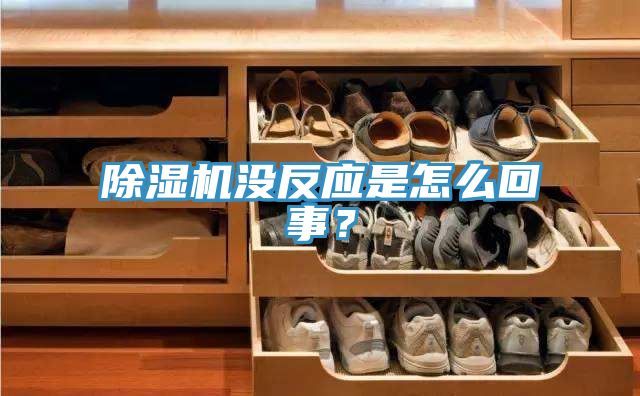 除濕機沒反應(yīng)是怎么回事？