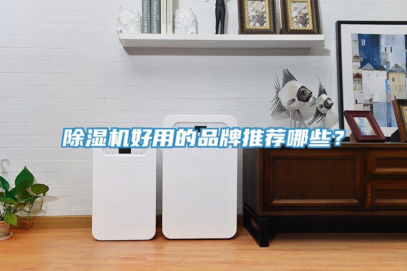 除濕機(jī)好用的品牌推薦哪些？