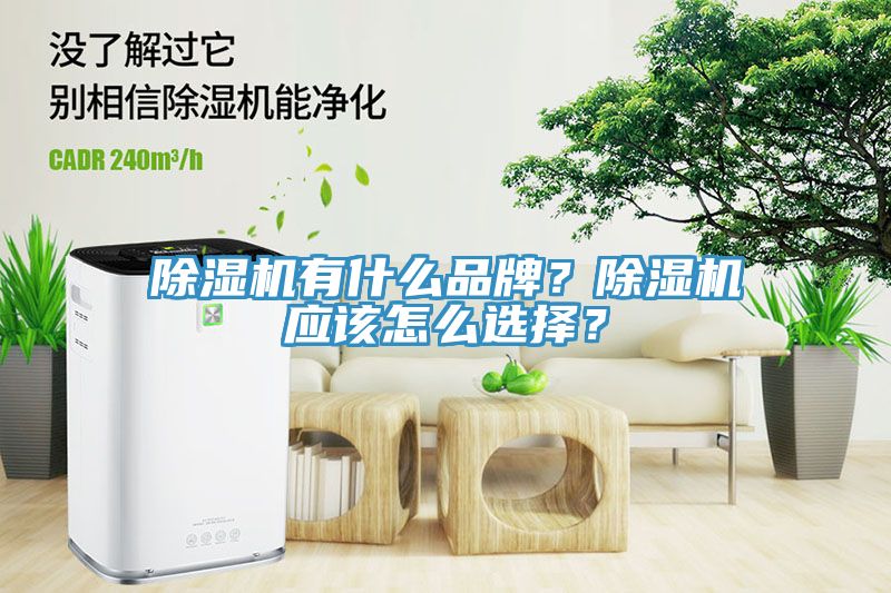 除濕機(jī)有什么品牌？除濕機(jī)應(yīng)該怎么選擇？
