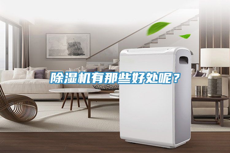 除濕機有那些好處呢？