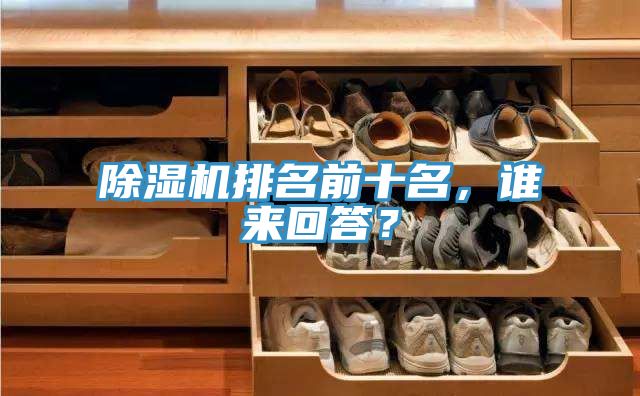 除濕機(jī)排名前十名，誰來回答？