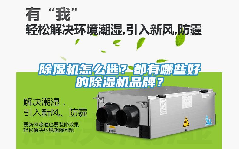除濕機(jī)怎么選？都有哪些好的除濕機(jī)品牌？