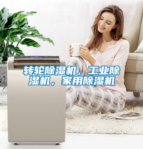 轉(zhuǎn)輪除濕機，工業(yè)除濕機，家用除濕機