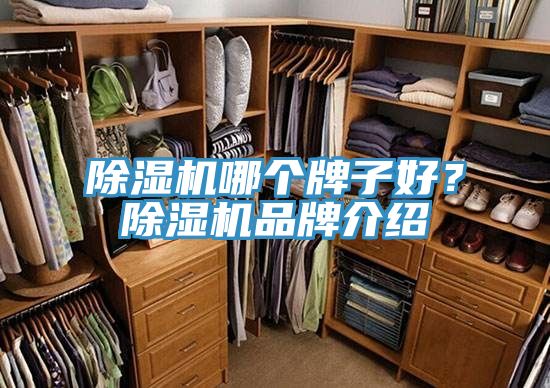 除濕機(jī)哪個(gè)牌子好？除濕機(jī)品牌介紹