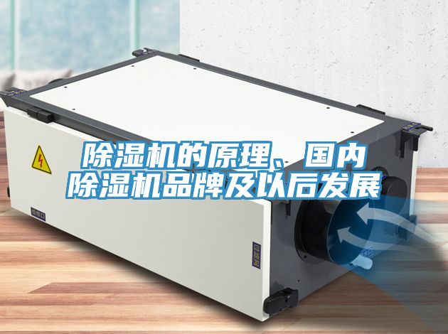 除濕機(jī)的原理、國內(nèi)除濕機(jī)品牌及以后發(fā)展