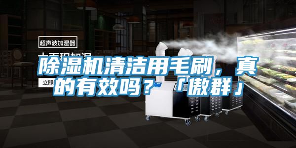 除濕機清潔用毛刷，真的有效嗎？「傲群」