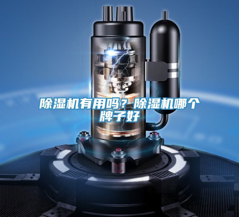 除濕機有用嗎？除濕機哪個牌子好
