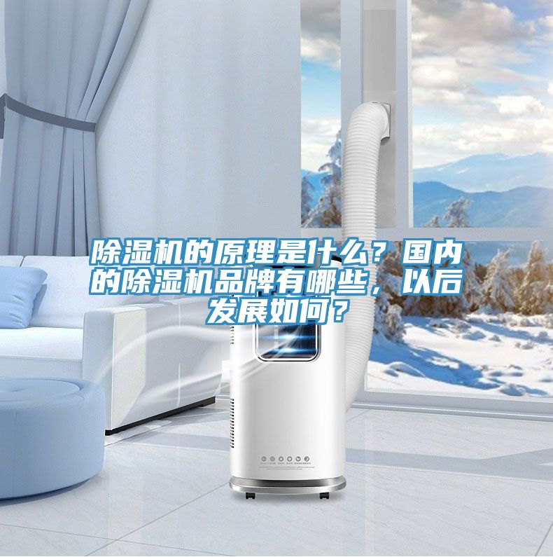 除濕機的原理是什么？國內的除濕機品牌有哪些，以后發(fā)展如何？
