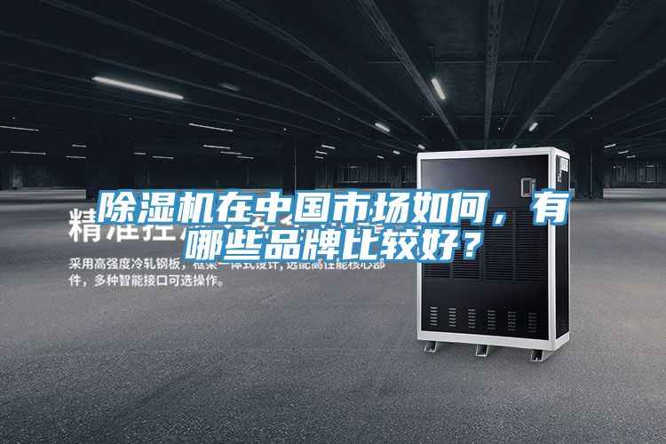 除濕機(jī)在中國市場如何，有哪些品牌比較好？