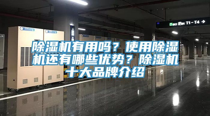 除濕機有用嗎？使用除濕機還有哪些優(yōu)勢？除濕機十大品牌介紹