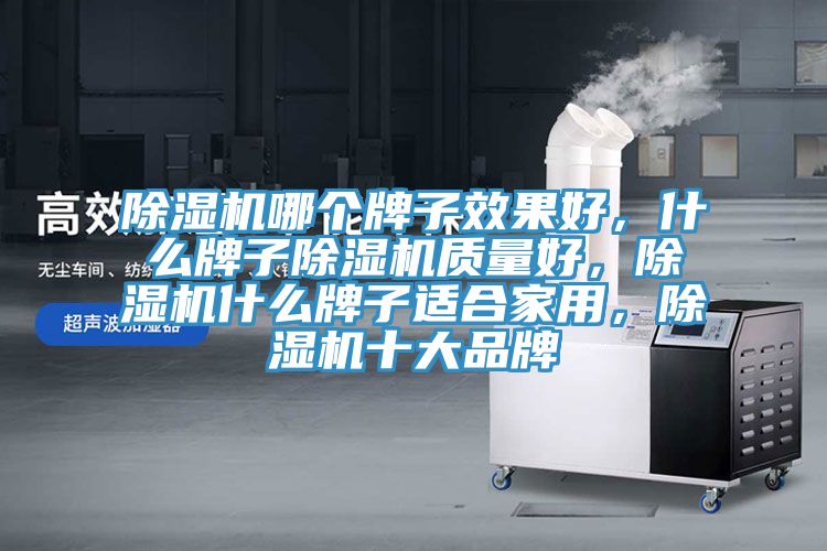除濕機(jī)哪個(gè)牌子效果好，什么牌子除濕機(jī)質(zhì)量好，除濕機(jī)什么牌子適合家用，除濕機(jī)十大品牌