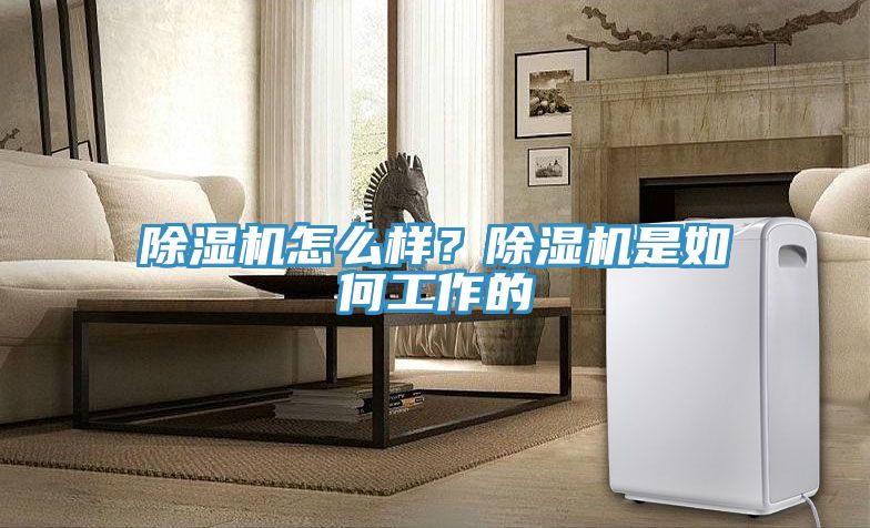 除濕機(jī)怎么樣？除濕機(jī)是如何工作的