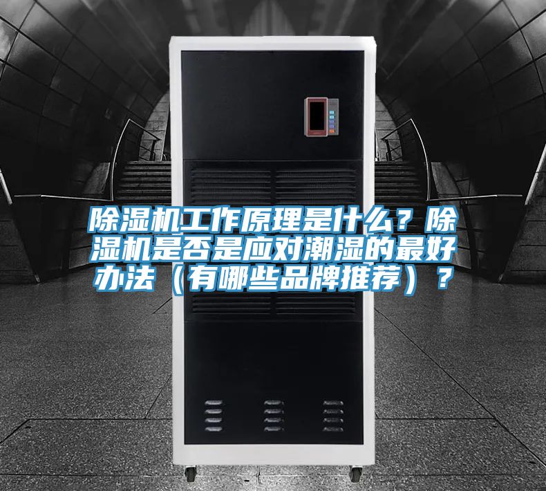 除濕機(jī)工作原理是什么？除濕機(jī)是否是應(yīng)對(duì)潮濕的最好辦法（有哪些品牌推薦）？