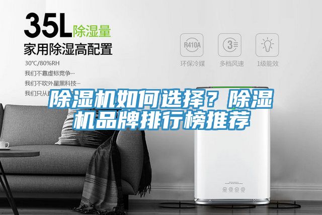 除濕機(jī)如何選擇？除濕機(jī)品牌排行榜推薦